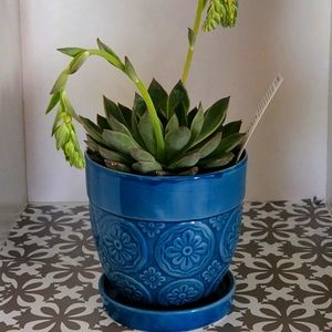 Ceramic planter